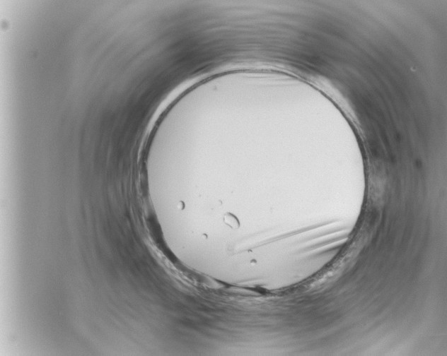 X0000058121004200510212016