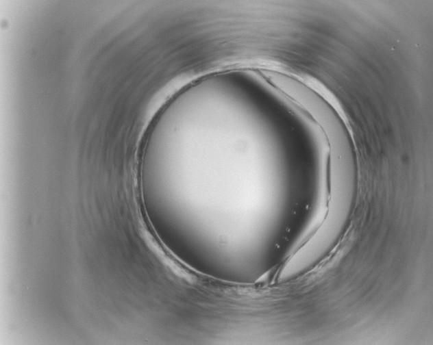 X0000058121005200510212016