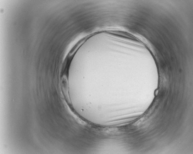 X0000058121006200510212015