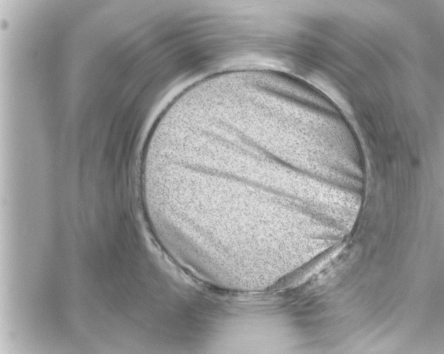 X0000058121008200510212015