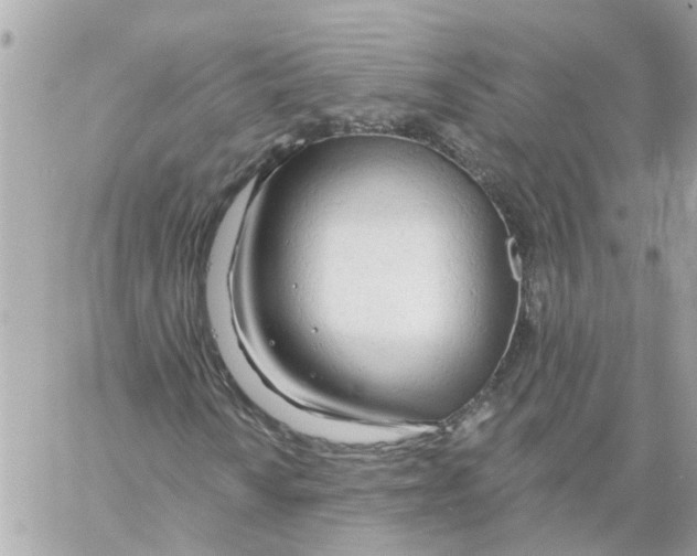 X0000058121010200510212015