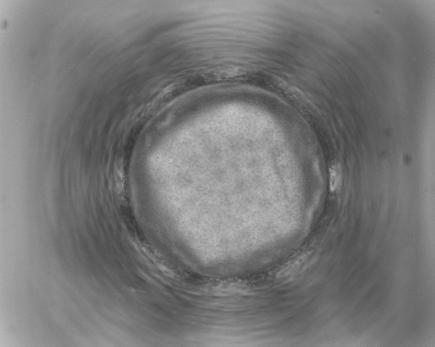 X0000058121011200510212015