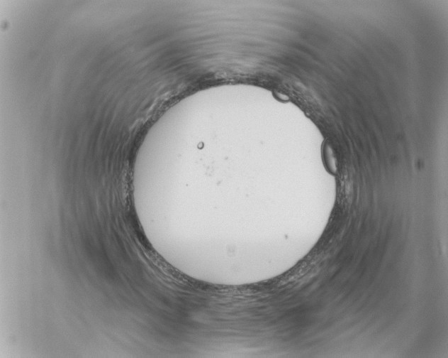 X0000058121012200510212015