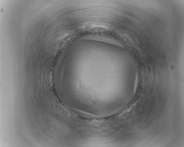 X0000058121013200510212015