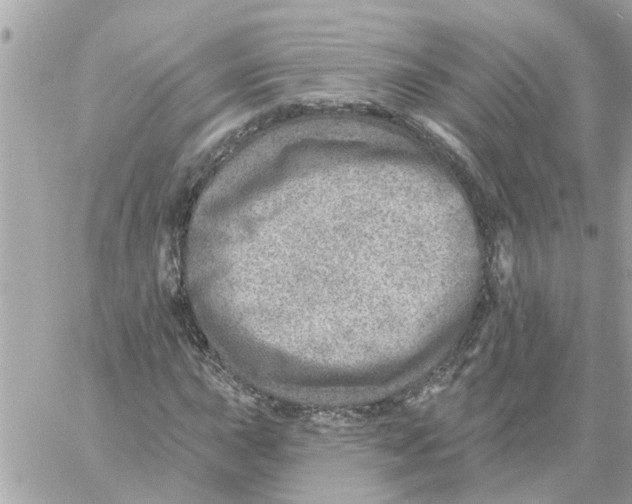 X0000058121015200510212015