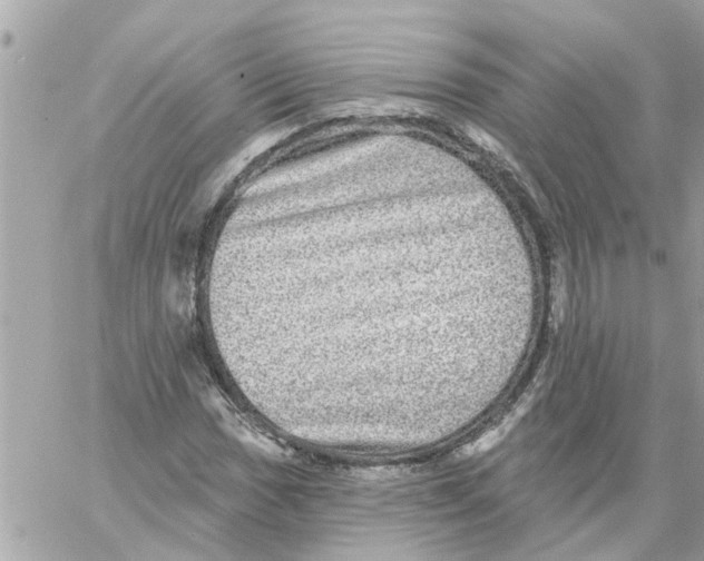 X0000058121017200510212015