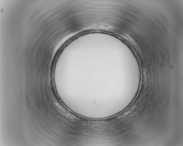 X0000058121020200510212015