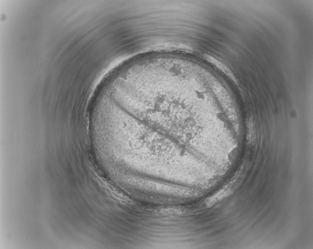 X0000058121021200510212015