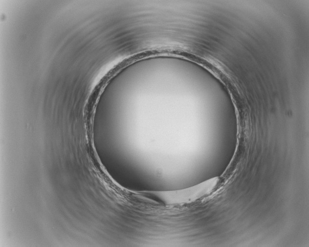 X0000058121022200510212015