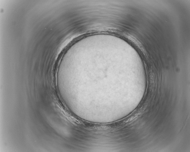 X0000058121023200510212015