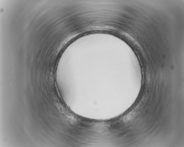 X0000058121025200510212015