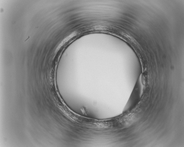 X0000058121026200510212015