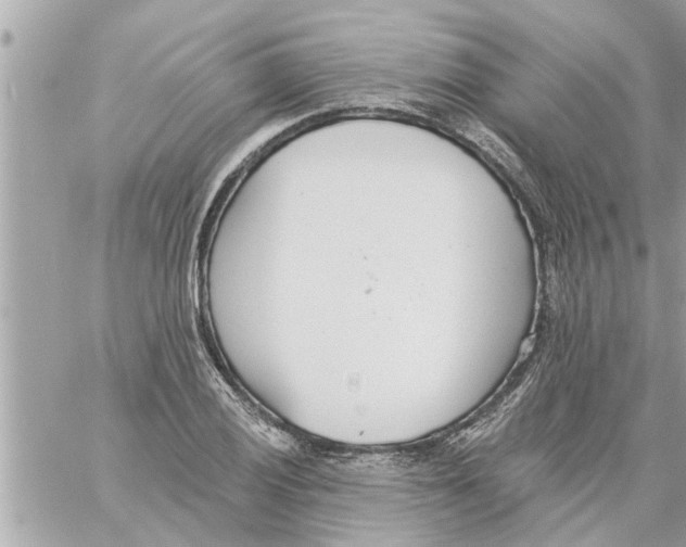 X0000058121028200510212015