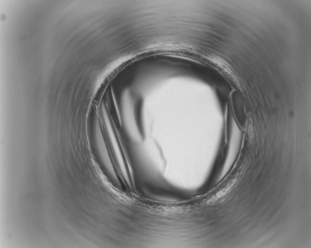 X0000058121030200510212015