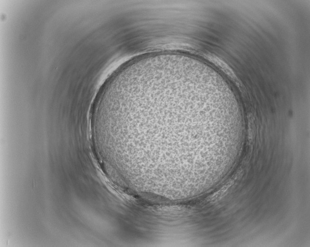 X0000058121031200510212015