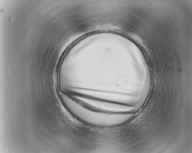 X0000058121032200510212015