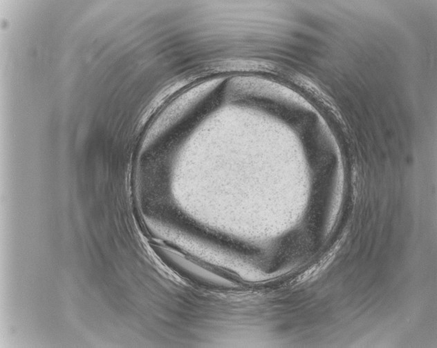 X0000058121033200510212015