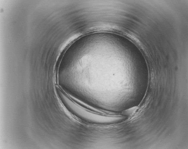 X0000058121034200510212015