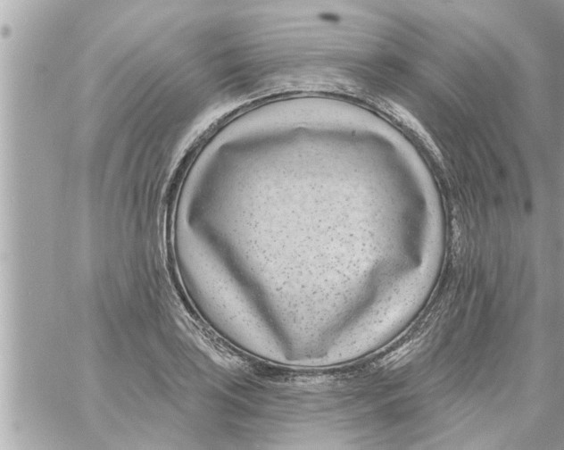 X0000058121035200510212015