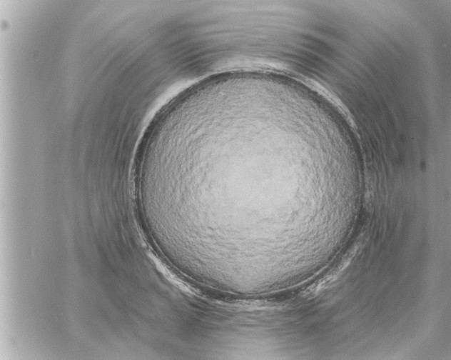 X0000058121037200510212015