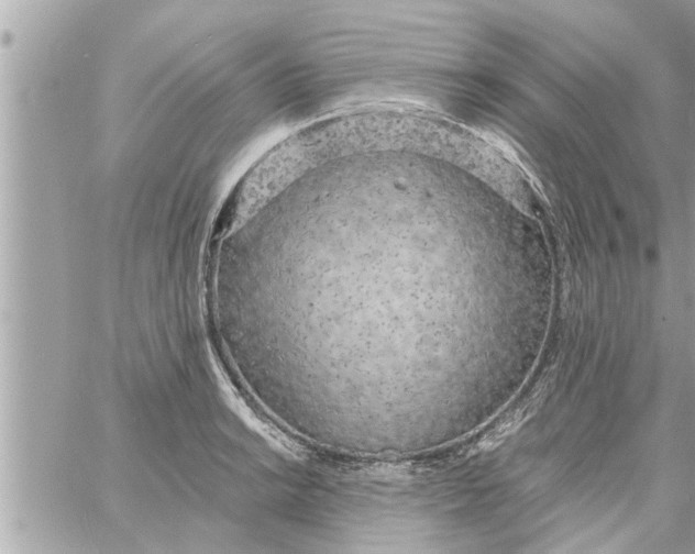 X0000058121038200510212015