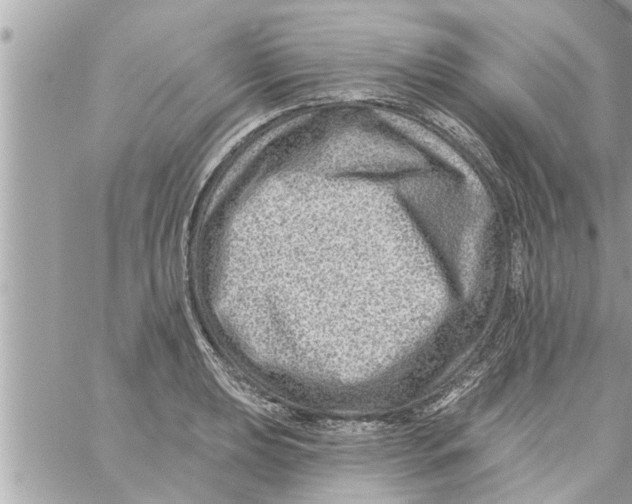 X0000058121039200510212015