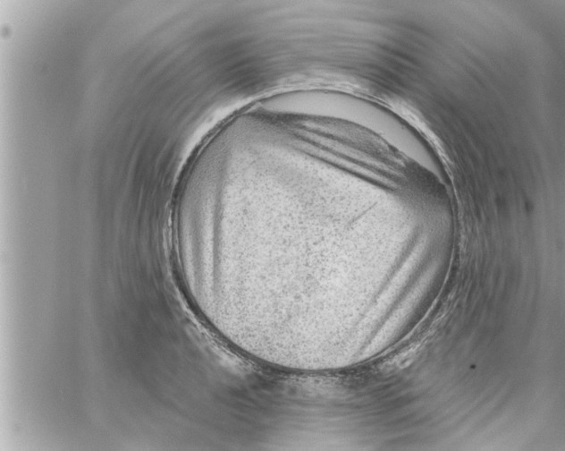 X0000058121040200510212015