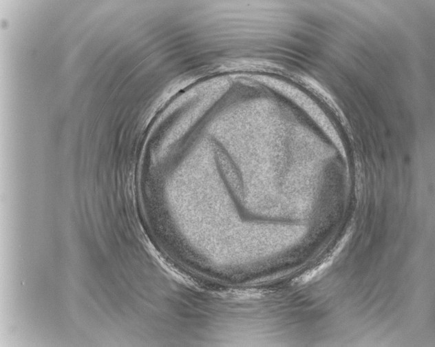 X0000058121041200510212015