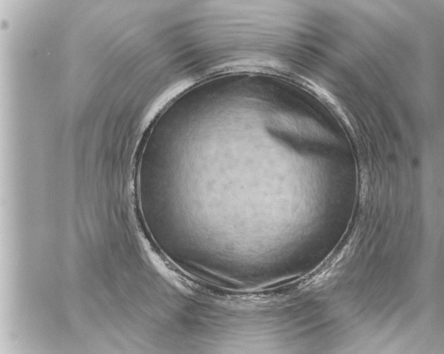 X0000058121042200510212015