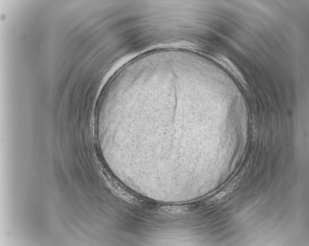 X0000058121044200510212015