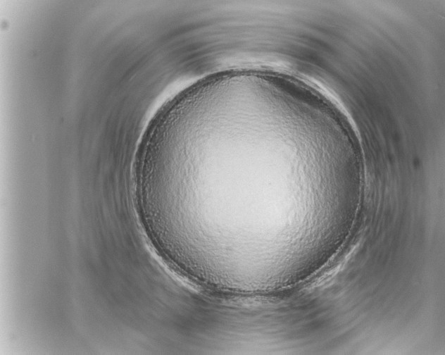 X0000058121045200510212015