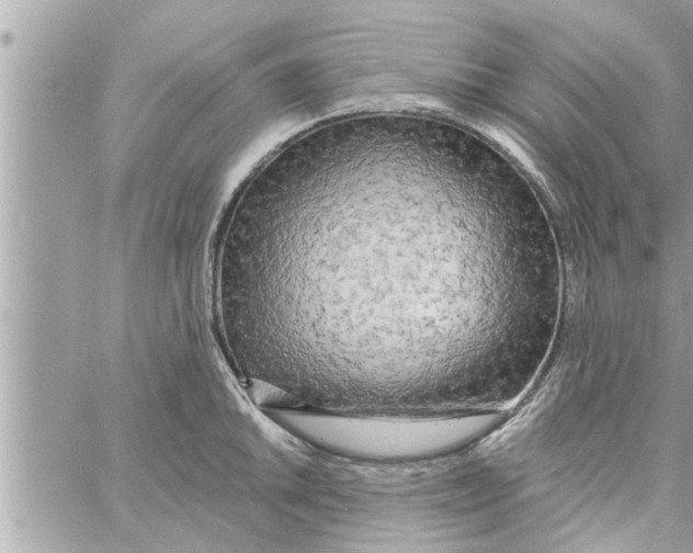 X0000058121046200510212015