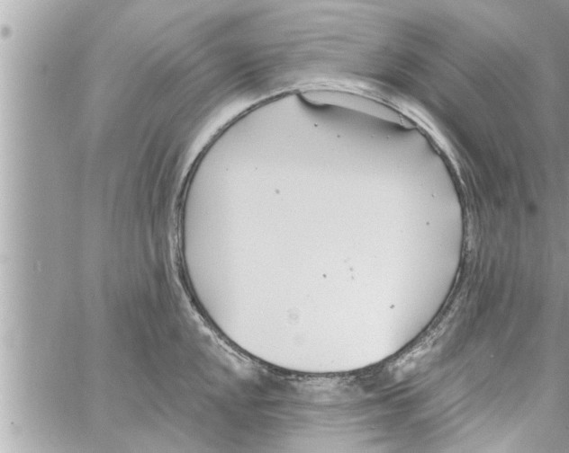 X0000058121048200510212015