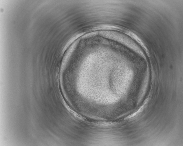 X0000058121049200510212015