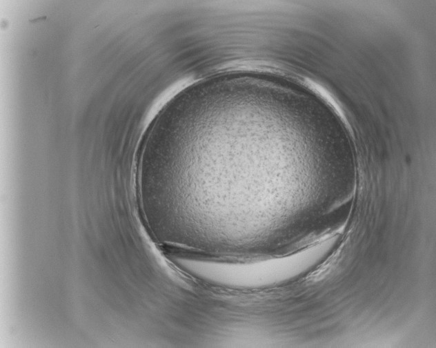 X0000058121050200510212015