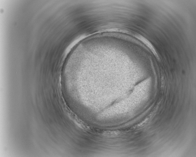 X0000058121051200510212015