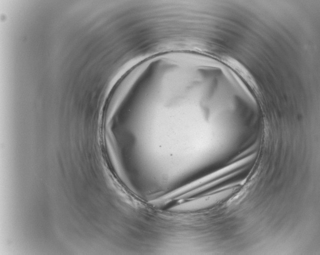 X0000058121052200510212015