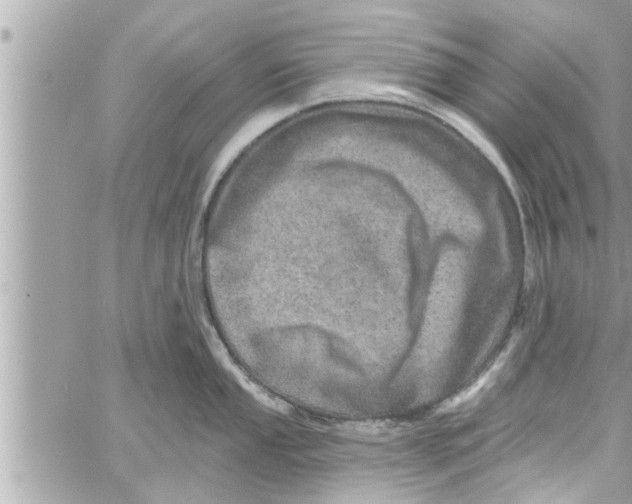 X0000058121053200510212015