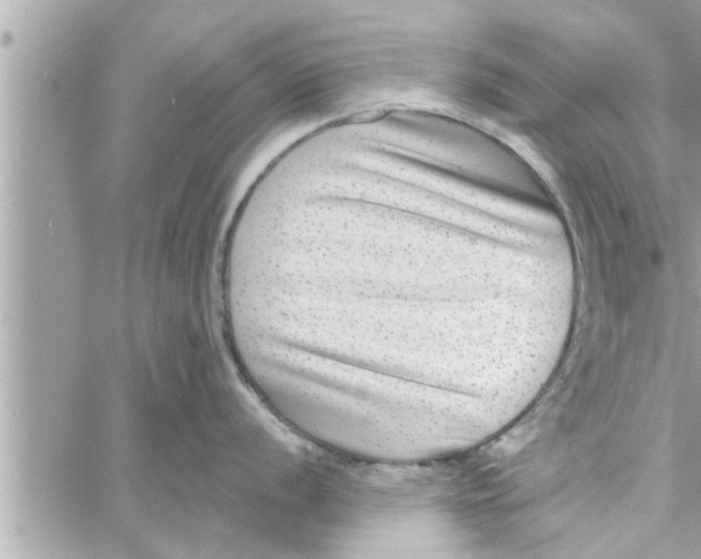 X0000058121056200510212015