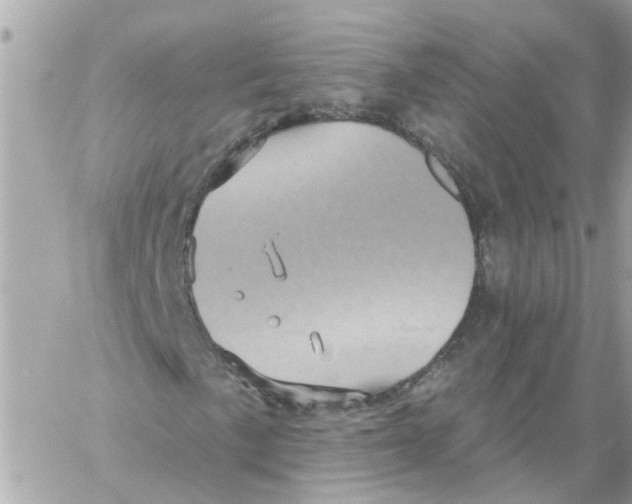 X0000058121057200510212015