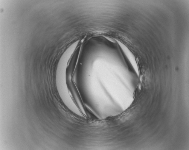 X0000058121058200510212015