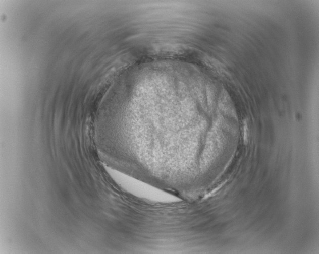 X0000058121059200510212015