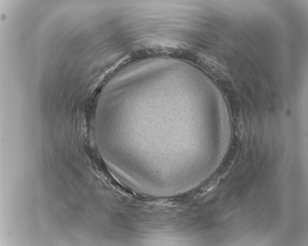 X0000058121061200510212015