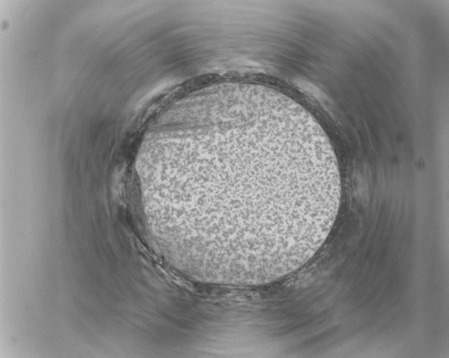 X0000058121063200510212015