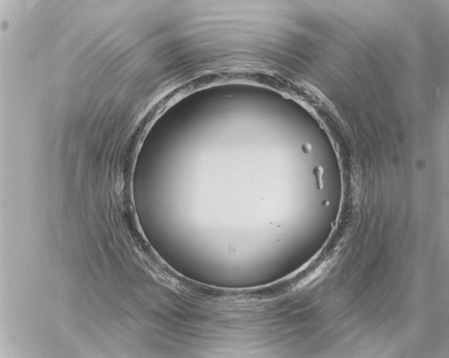 X0000058121065200510212015