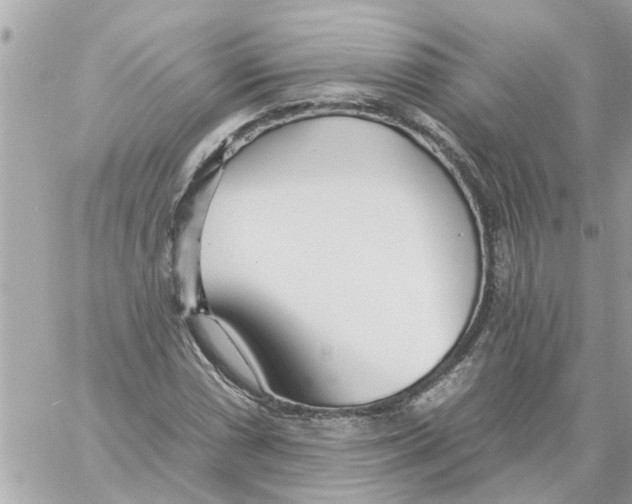 X0000058121066200510212014