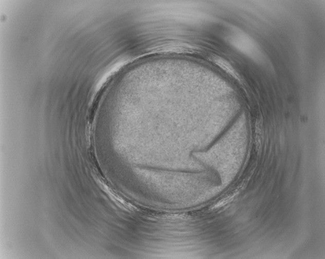 X0000058121067200510212014