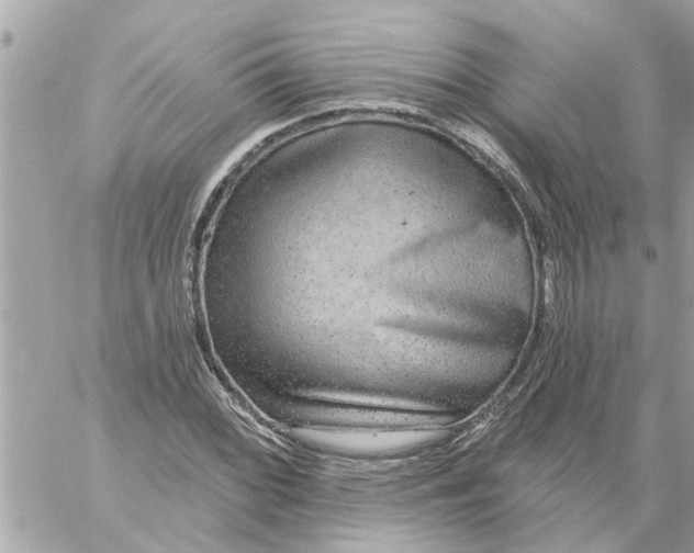 X0000058121068200510212014