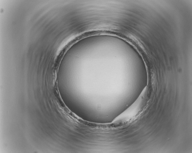 X0000058121069200510212014