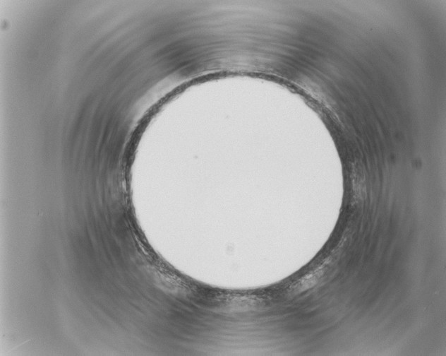 X0000058121070200510212014